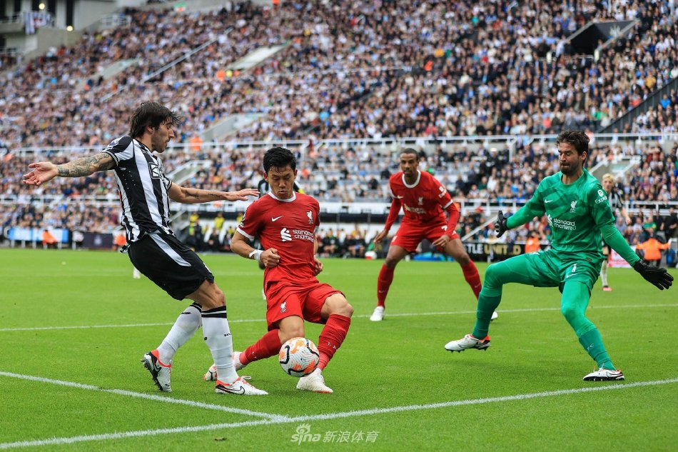 也未能打入 也未能打入